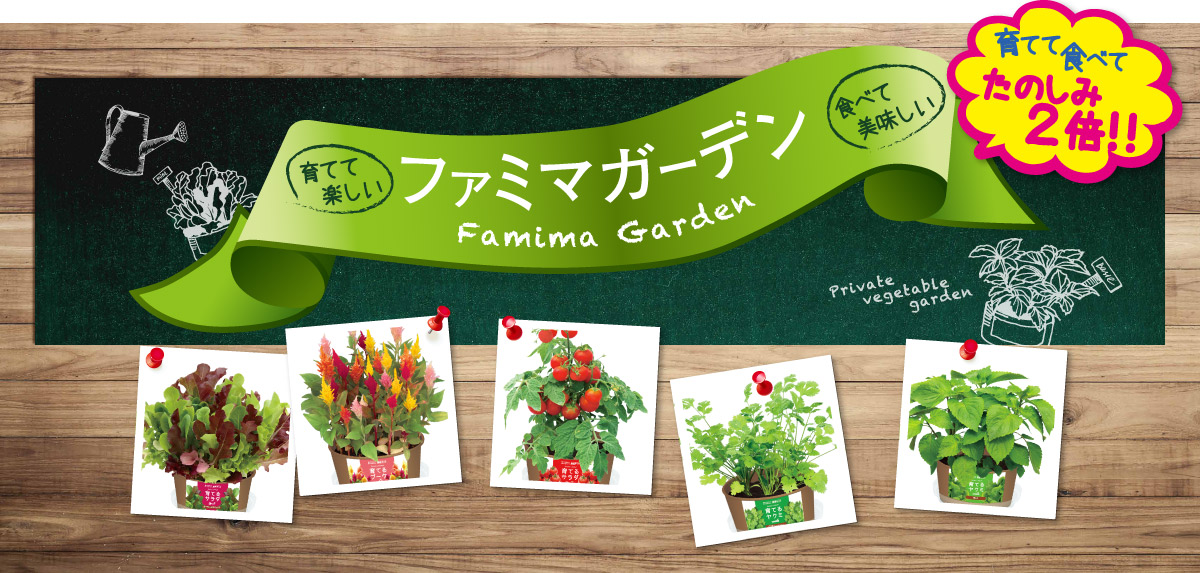 育てておいしい!食べておいしい!栽培キットファミマガーデン キッチンやオフィスで!手軽に楽しめる
“育てるサラダ”と“育てるヤクミ”と“育てるブーケ”のラインナップをご紹介