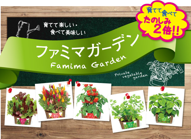 育てておいしい!食べておいしい!栽培キットファミマガーデン キッチンやオフィスで!手軽に楽しめる
“育てるサラダ”と“育てるヤクミ”と“育てるブーケ”のラインナップをご紹介