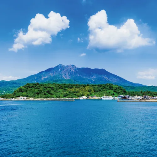 鹿児島県産うなぎのイメージ
