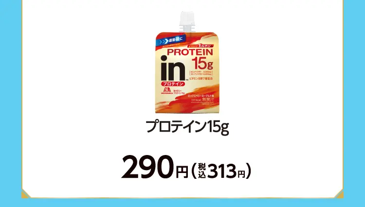 プロテイン15g　290円（税込313円）