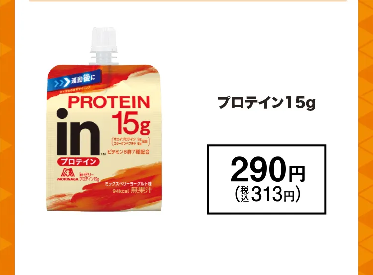 プロテイン15g／290円(税込313円)