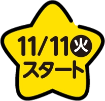 11月11日火曜日スタート