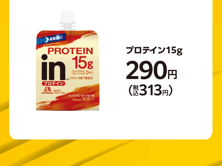 プロテイン15g 290円(税込313円)