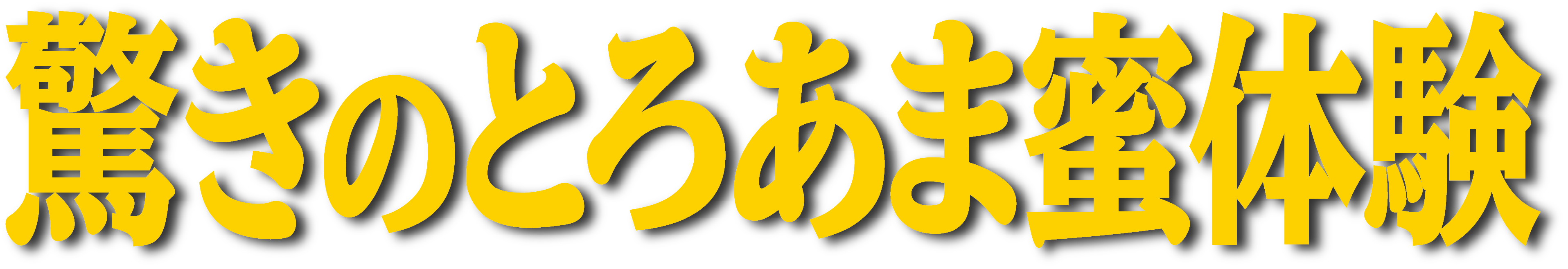 驚きのとろあま蜜体験