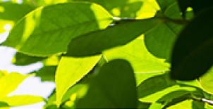 環境への取り組み