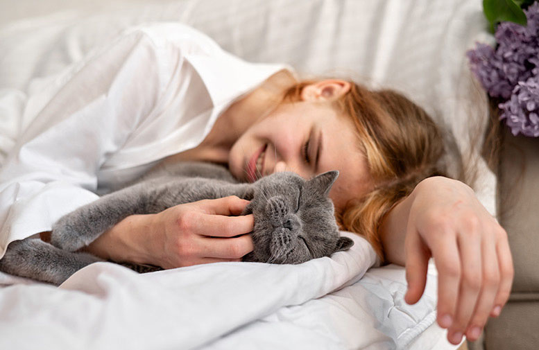 ねこのイメージ写真