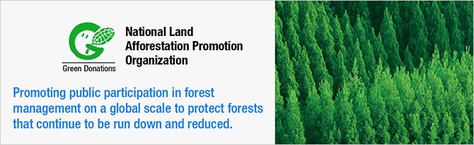 Promoting public participation in forest management on a global scale to protect forests that continue to be run down and reduced.
