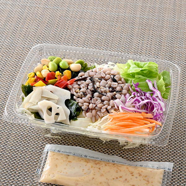 【関東・東海・北陸】20品目のサラダ