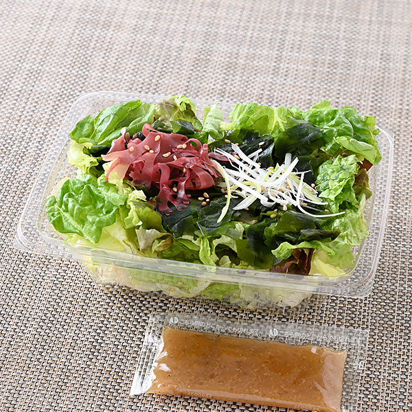 【東海・北陸】3種レタス使用 チョレギサラダ
