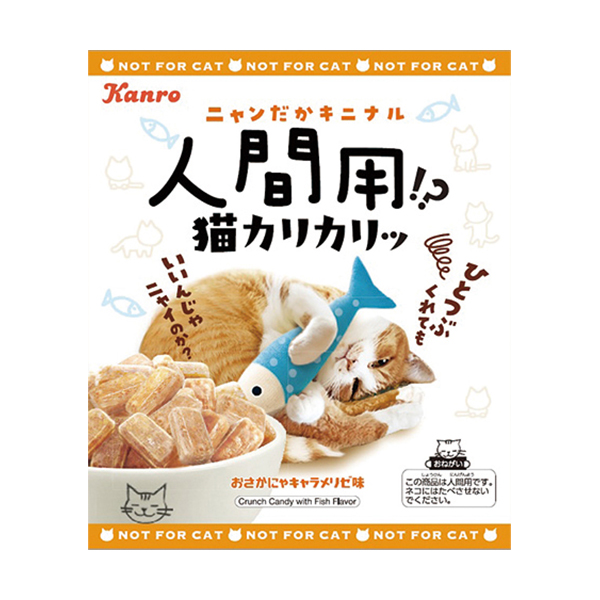 NHKɎX 202209 kx_uxA ->摜>21 