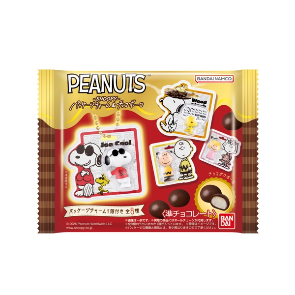 PEANUTS -SNOOPY- パッケージチャーム&チョコボーロ