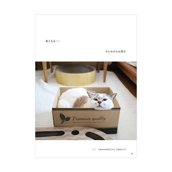 サプライズVISUAL いそがなくて、いいじゃない |商品情報