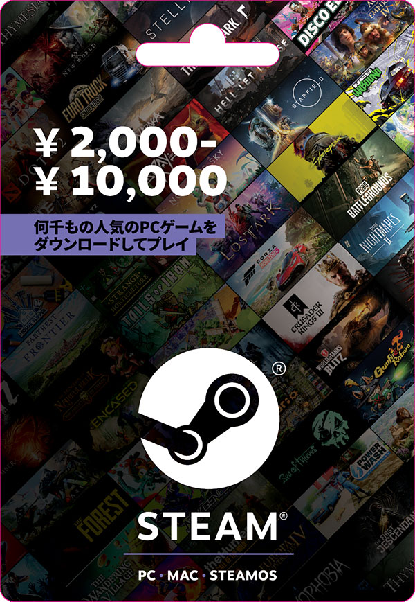 STEAM プリペイドカード 