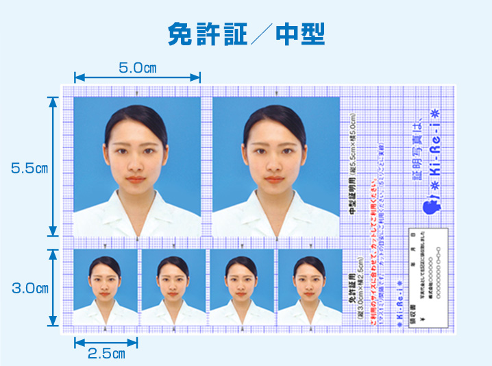 免許証・中型（縦5.5×横5.0センチ・縦3.0センチ×横2.5センチ）