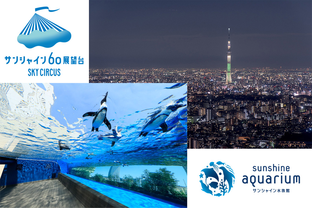 サンシャイン水族館 Sky Circus サンシャイン60展望台 レジャー アート ミュージアム サービス ファミリーマート