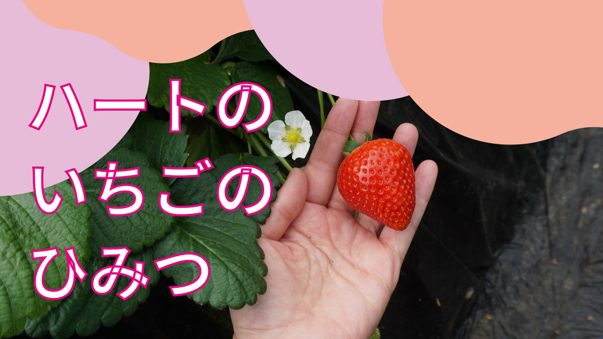 ハートのいちごのひみつ