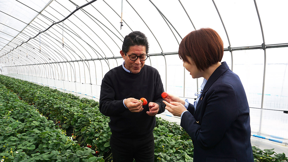 談笑するいちご農家とファミリーマート社員の写真