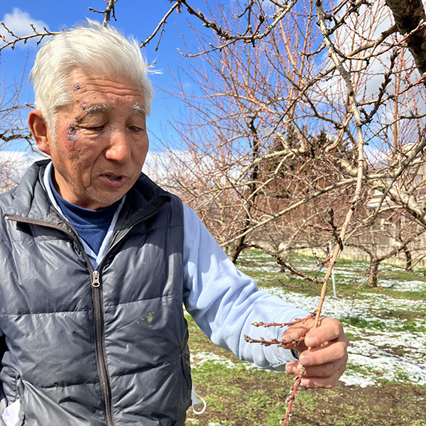 桃農家さま訪問時の集合写真。