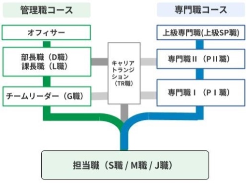 等級制度の図