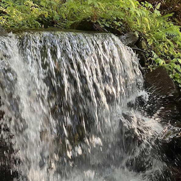 湧き水が流れる様子