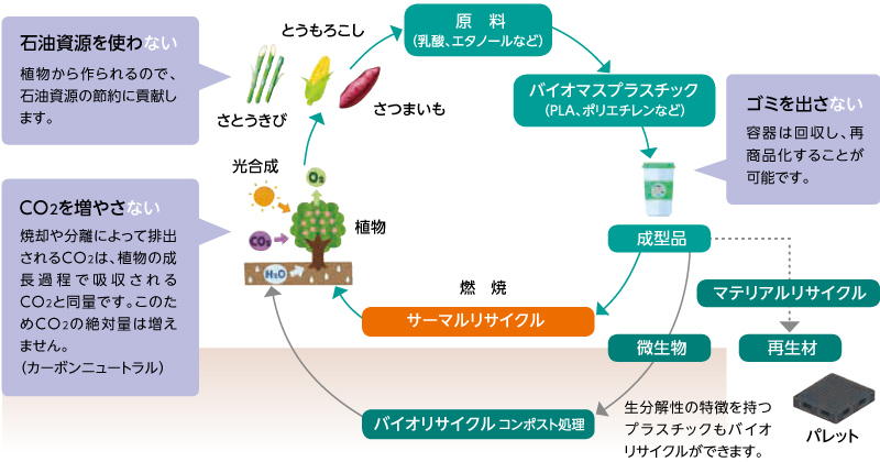 バイオマスプラスチックは植物から作られるので石油資源の節約に貢献します。また、バイオマスプラスチックを使用した製品を焼却した際の二酸化炭素は、植物の成長過程で吸収される二酸化炭素と同量です。このため二酸化炭素の絶対量は増えません。なお、バイオマスプラスチックを使用した製品は、回収して、マテリアルリサイクル、サーマルリサイクル、バイオリサイクルなどを通じて環境循環することが可能です。