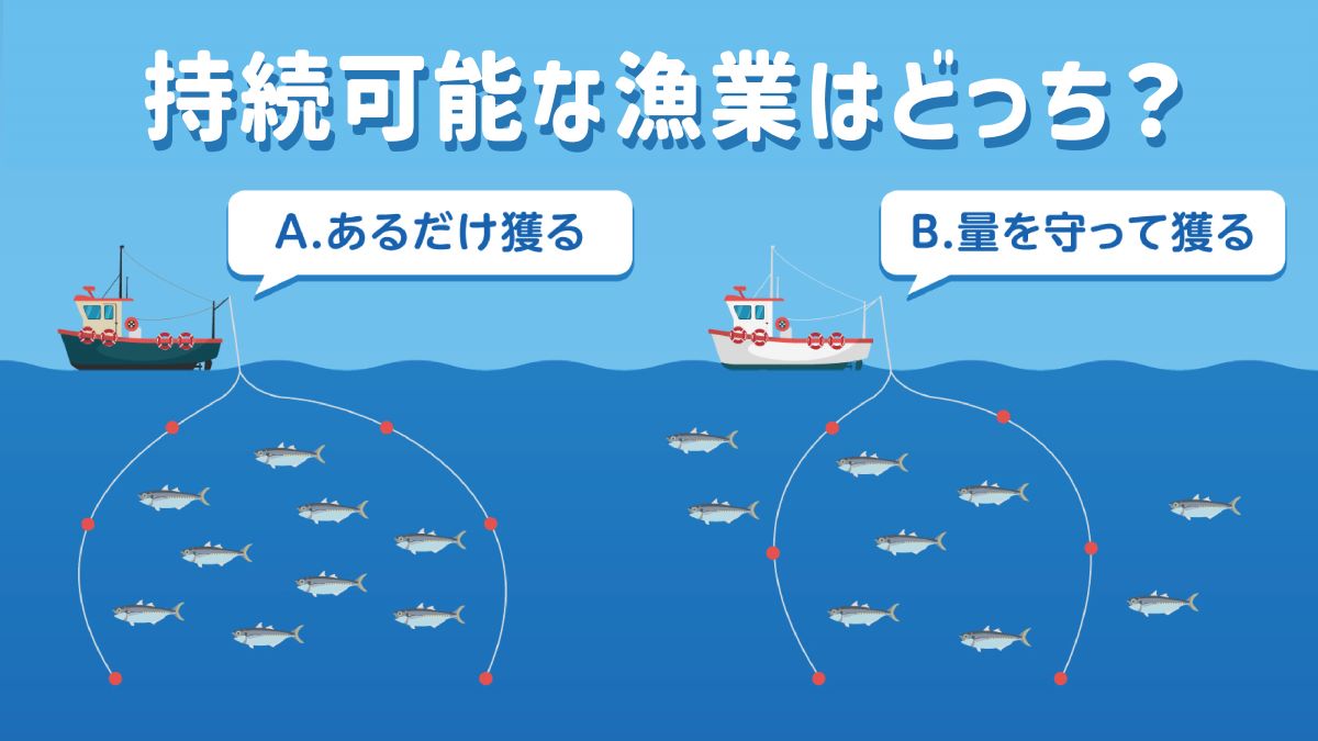持続可能な漁業のイメージ画像