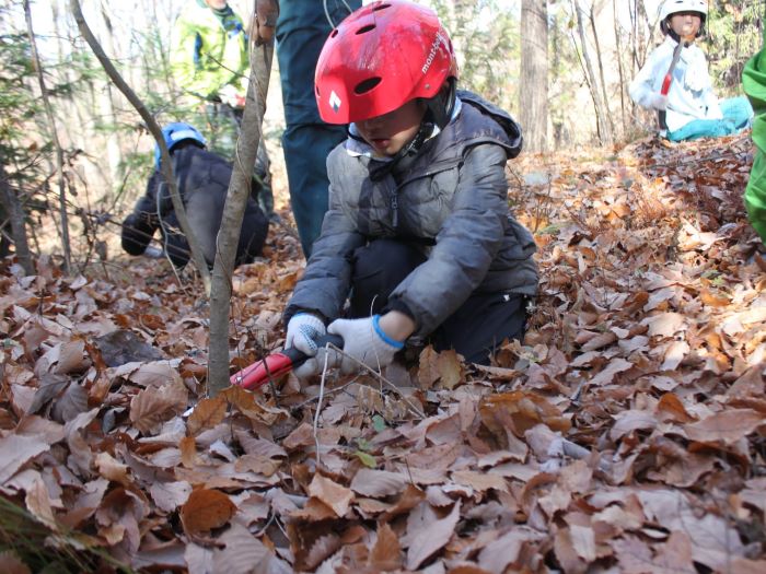里山の遊歩道整備