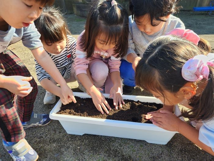 どんぐり植え