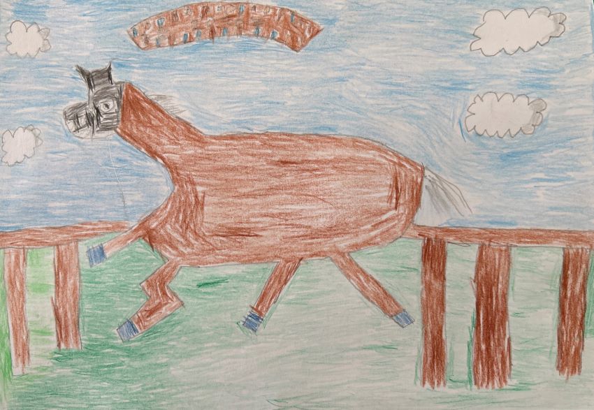 展示作品の一例