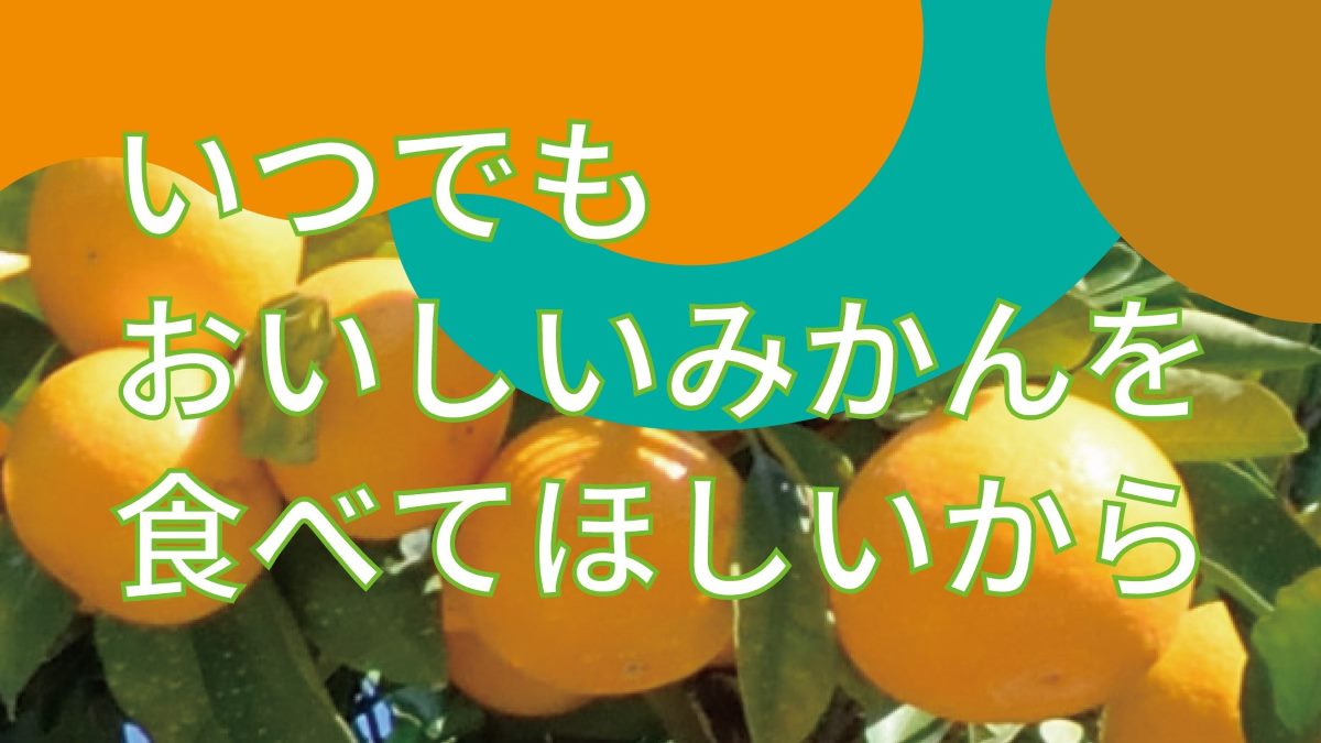 夏にもおいしいみかんを食べてほしいから