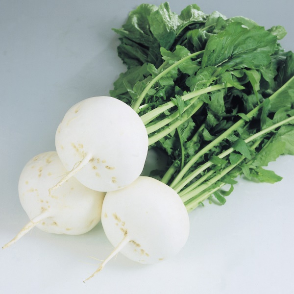 聖護院かぶのイメージ画像