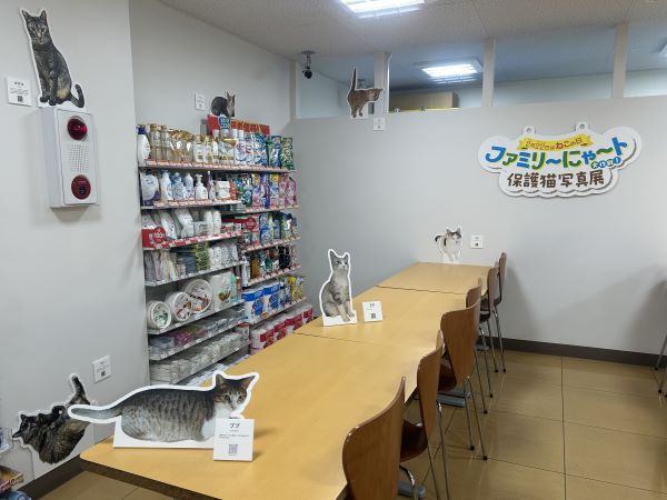 保護猫写真展の会場での展示の様子