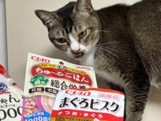 （お届けしたペットフード）