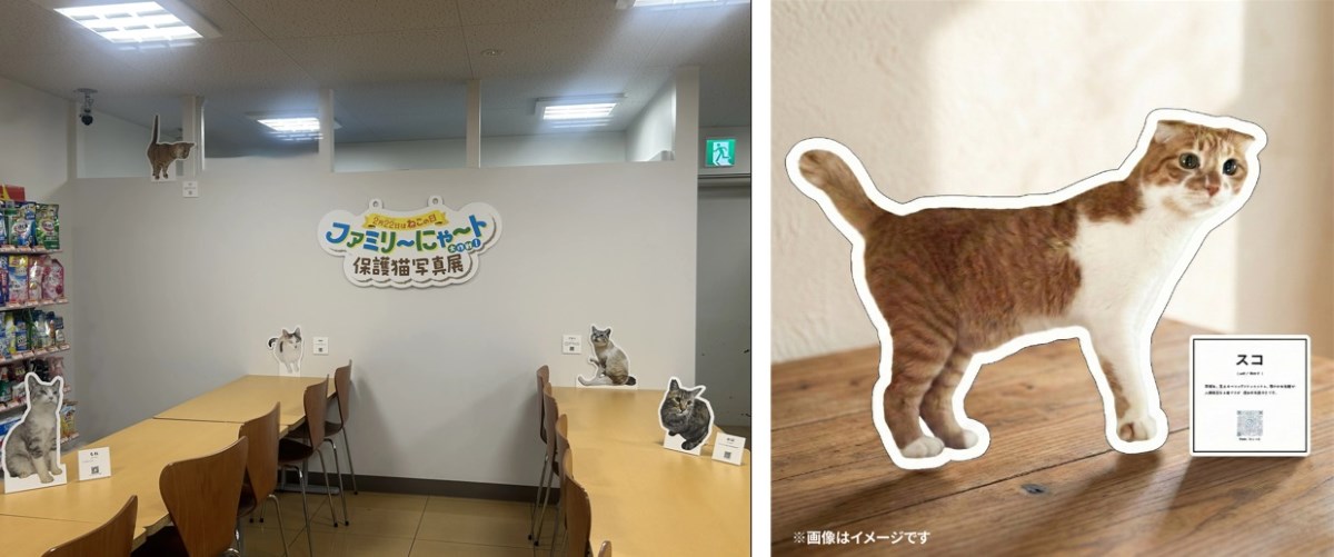 渋谷キャットストリート店の様子