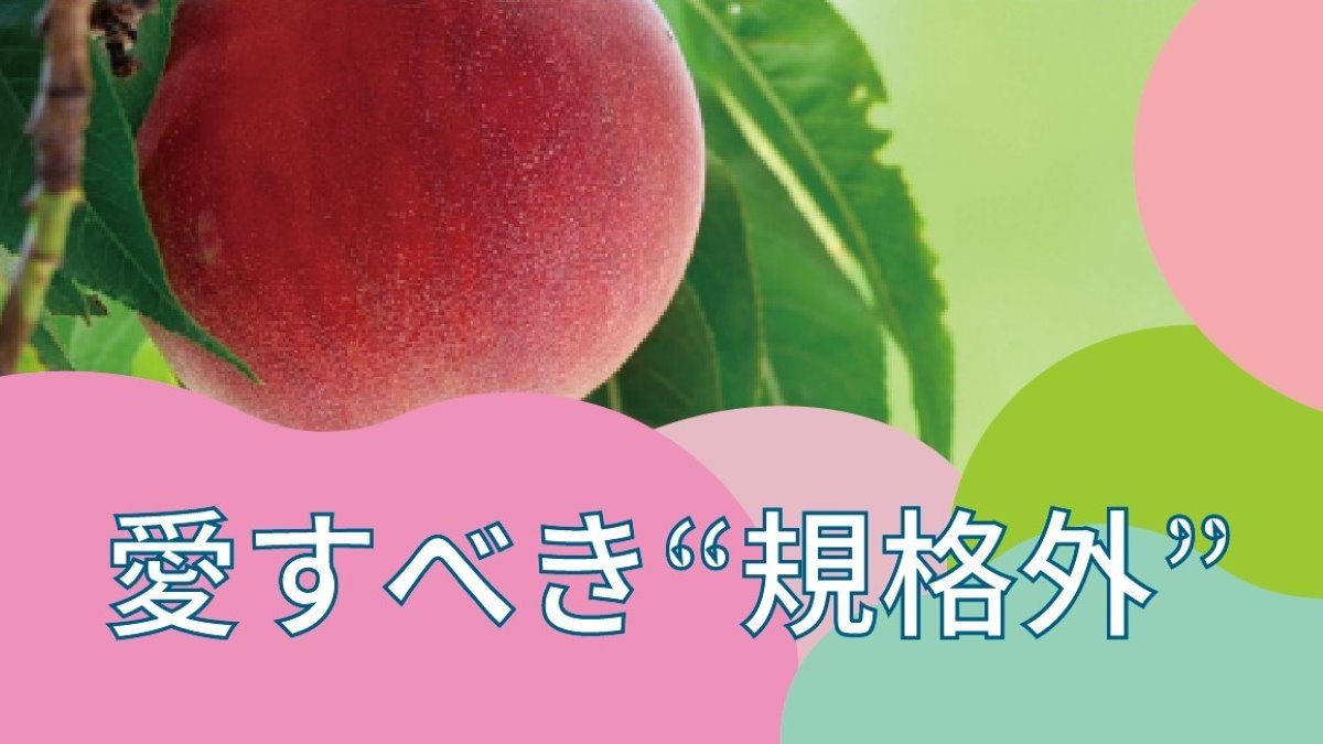愛すべき"規格外“