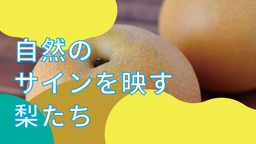 自然のサインを刻んだ梨たち