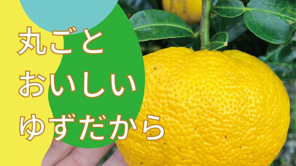丸ごとおいしいゆずだから