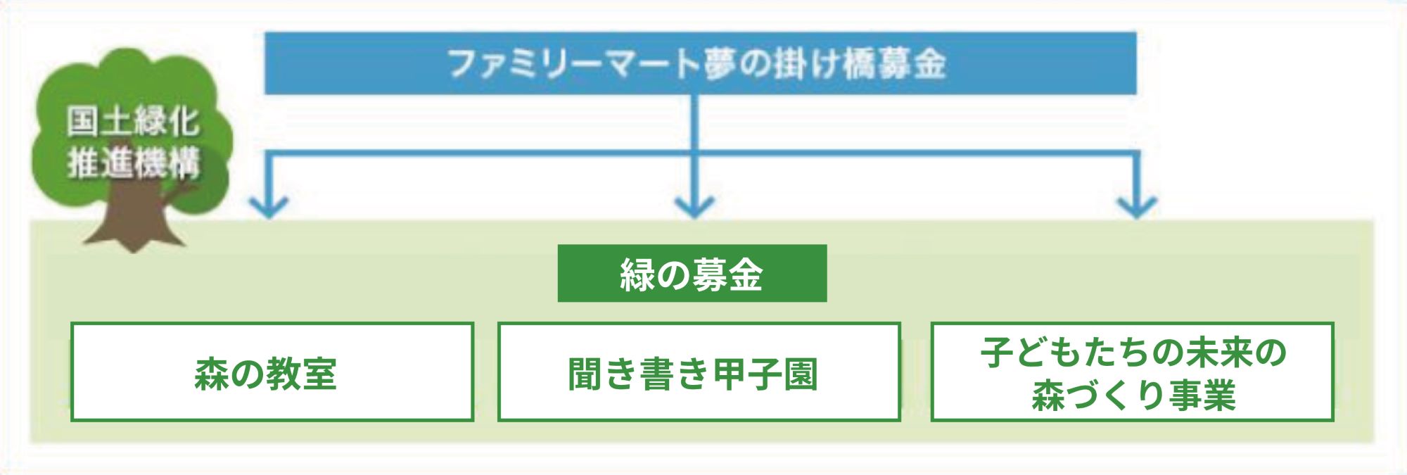 「ファミリーマート夢の掛け橋募金」を通じて、緑の募金・聞き書き甲子園・子どもたちの未来の森づくり事業への支援を行っています