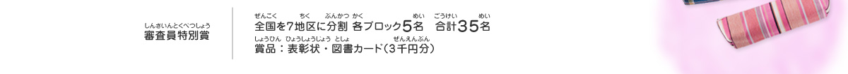 審査員特別賞／全国を７地区に分割 各ブロック５名　合計３５名、賞品：表彰状・図書カード（3千円分）